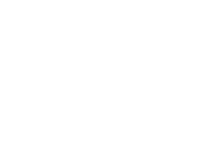 D2S Client 03