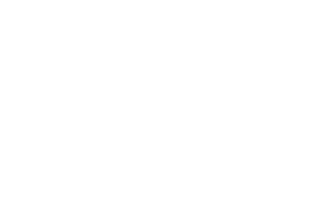 D2S Client 09